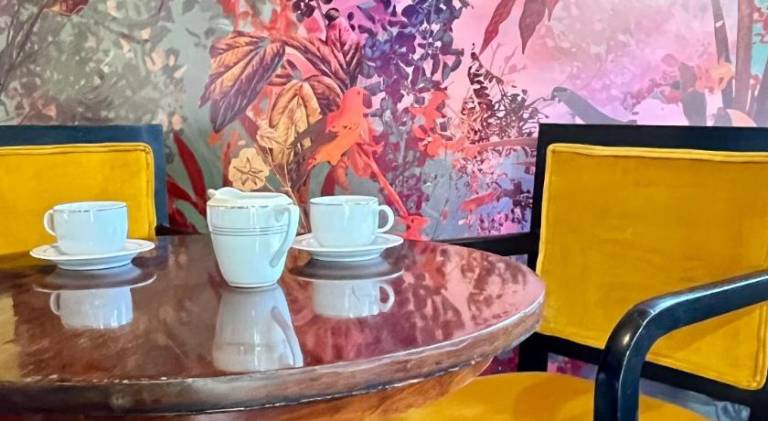 House with terrace, garden & barbeque | Beach nearby | Perfect for remote work | Pet-friendly in Troyes
