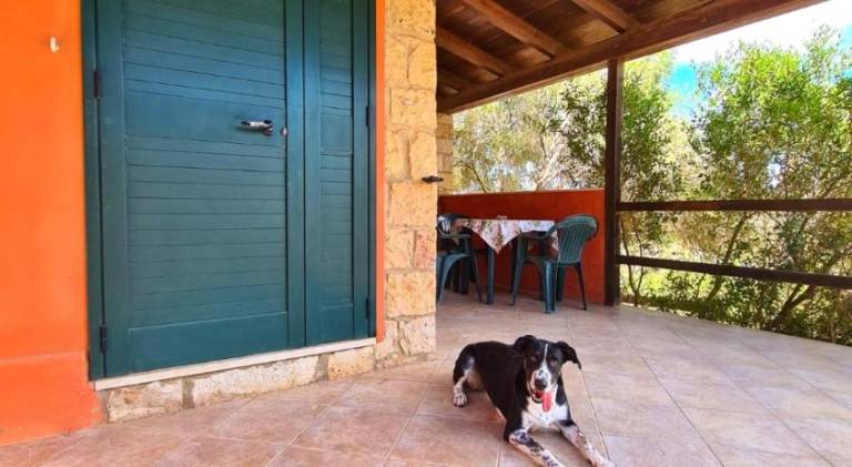 Vacation home with garden, patio & grill — photo 4