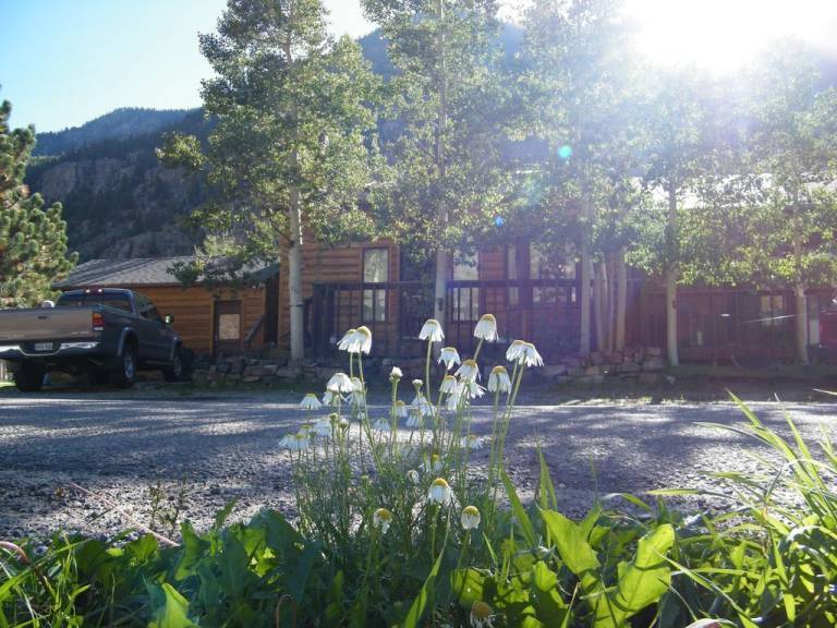 Cabin  Georgetown