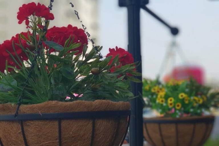foto21