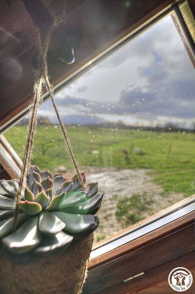 foto17