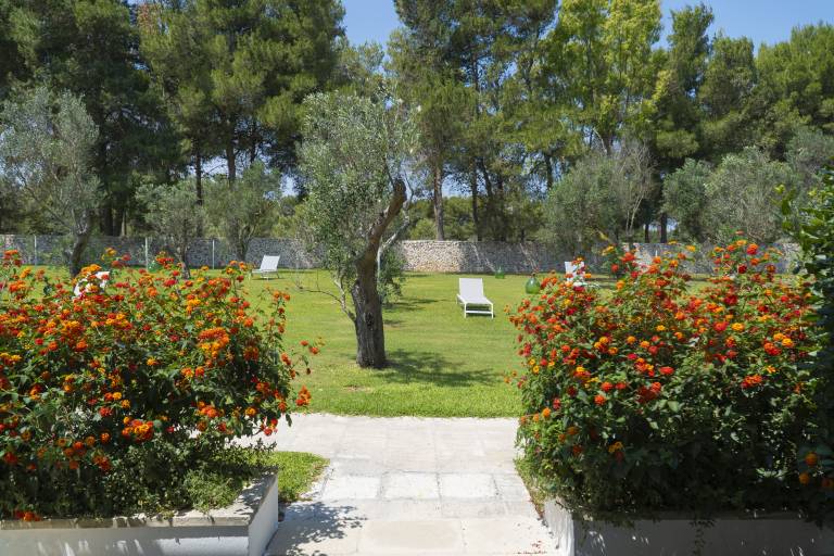 foto8