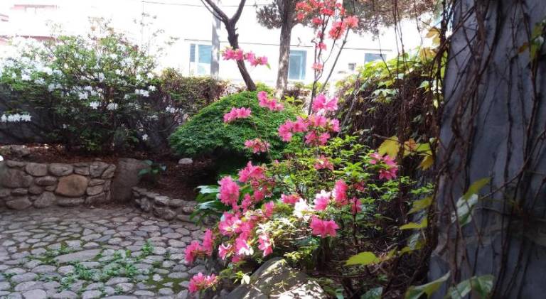 foto42