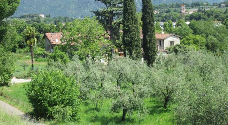 Apartment with garden in San Felice del Benaco