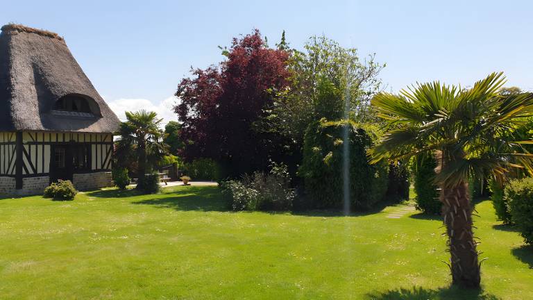 foto5