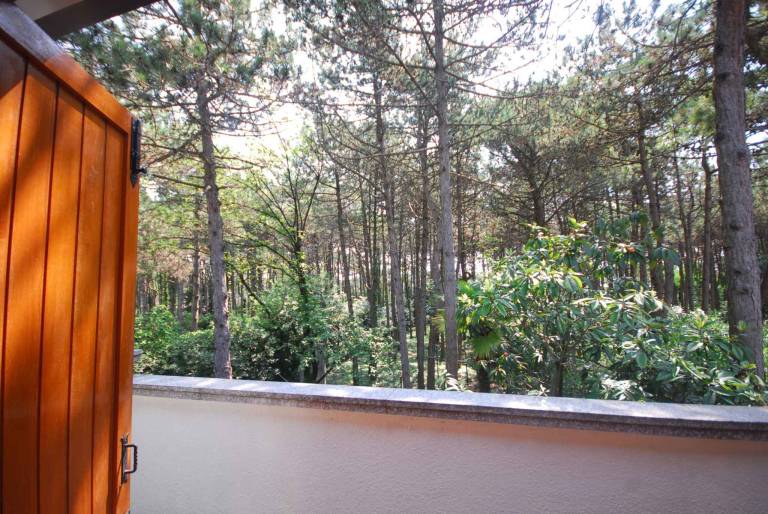 Holiday apartment with garden & terrace | Next to the beach | Pet-friendly — photo 4