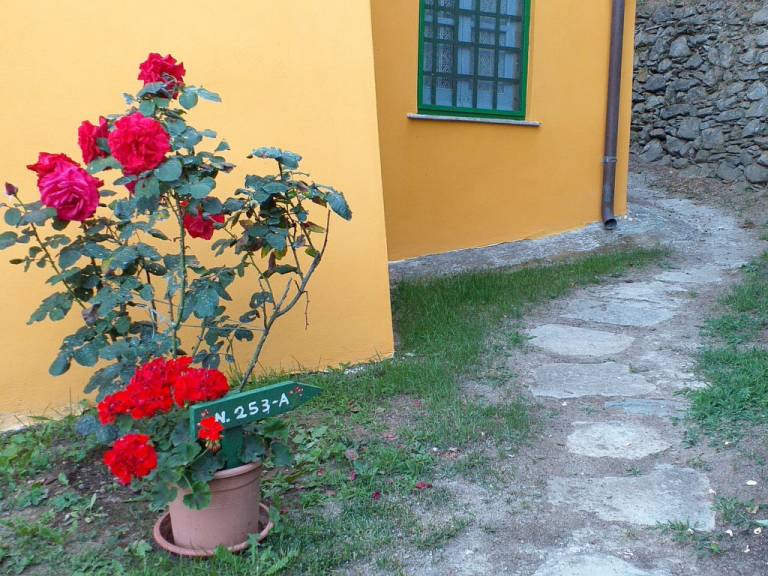 foto29