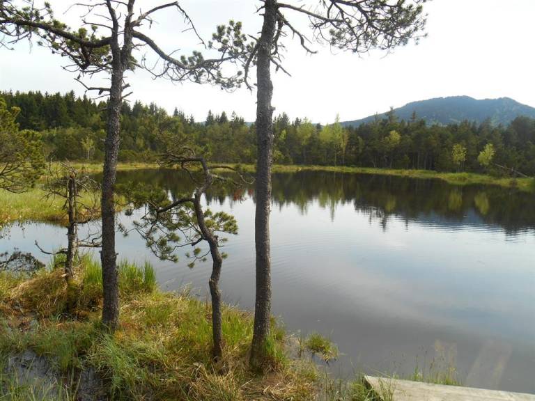 Appartement Fewo Dusche WC