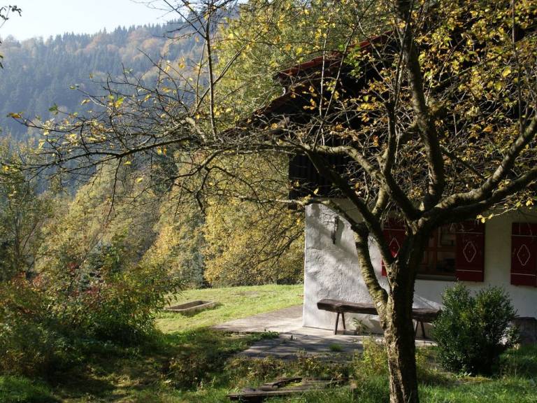 foto9