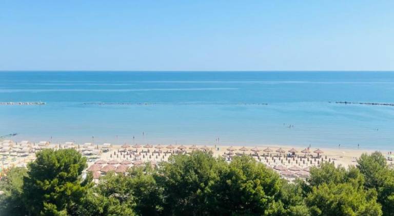Wonderful holiday apartment | Close to the beach | Dogs allowed — photo 3