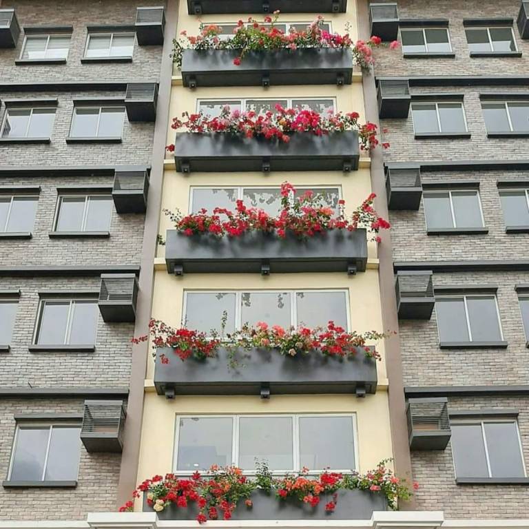 foto14