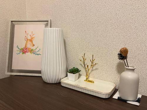 foto19