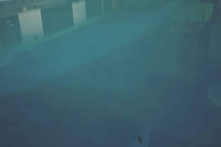 foto11