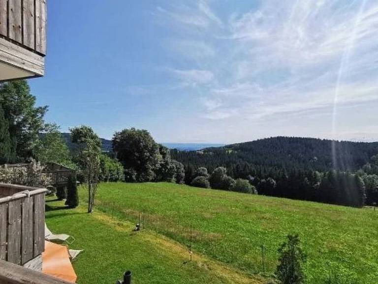 Holiday apartment with BBQ, terrace & yard | Nature view — photo 3