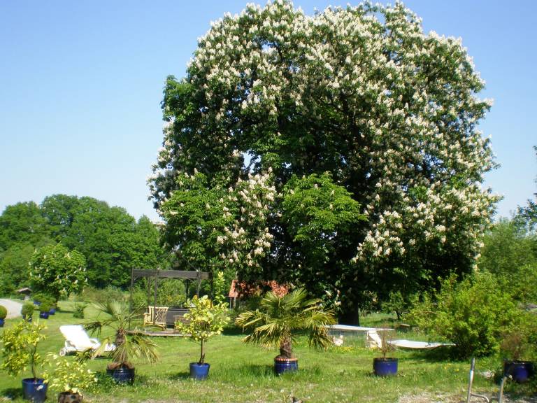 foto17