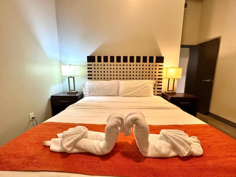 2 BR 2 Bath Downtown Free Valet Parking 3