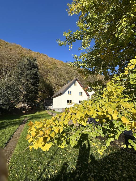 foto41