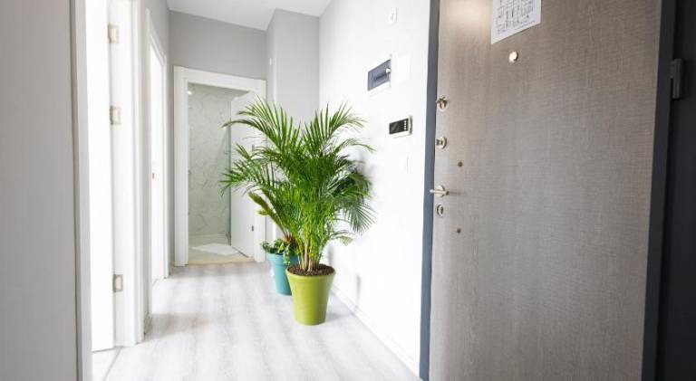 Rental apartment with garden & terrace | Pets allowed — photo 4