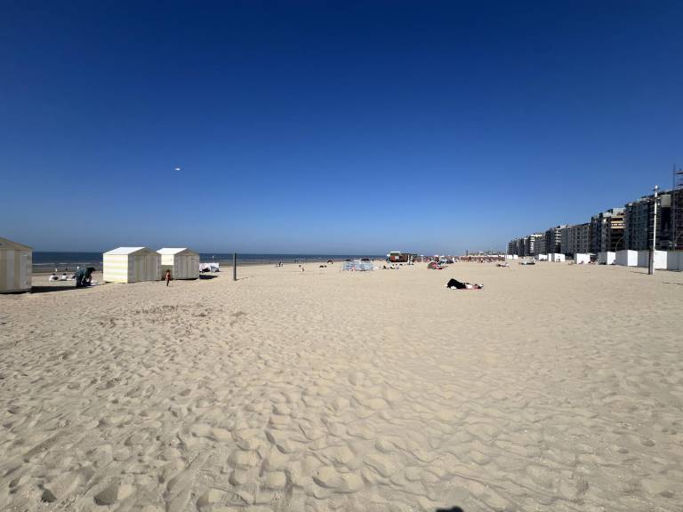 foto10