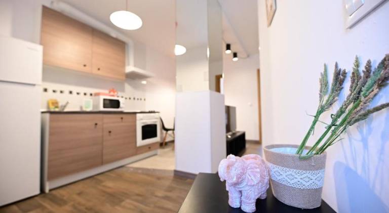 Nice rental apartment | Dogs allowed — photo 3