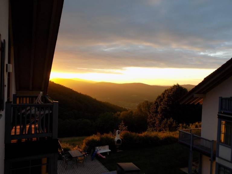 foto16
