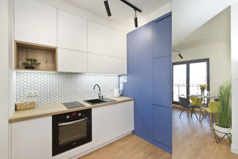Wonderful rental apartment with yard & patio | Near Golden Gate | Dogs allowed — photo 4