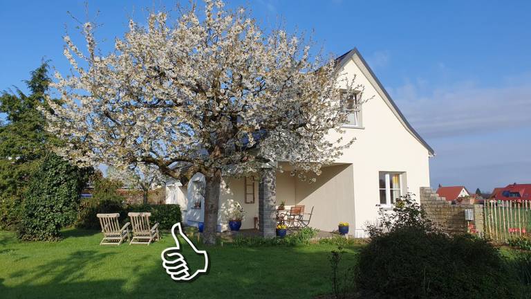 Ferienhaus  Kamenz