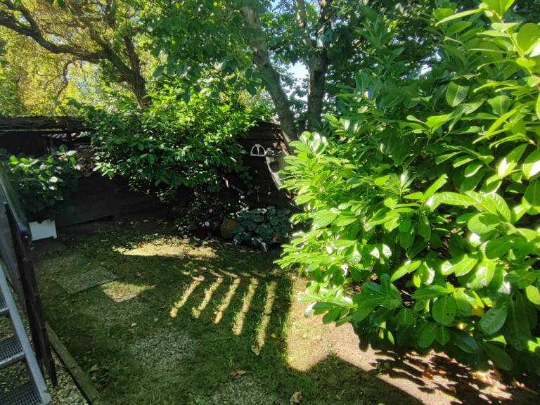 foto41