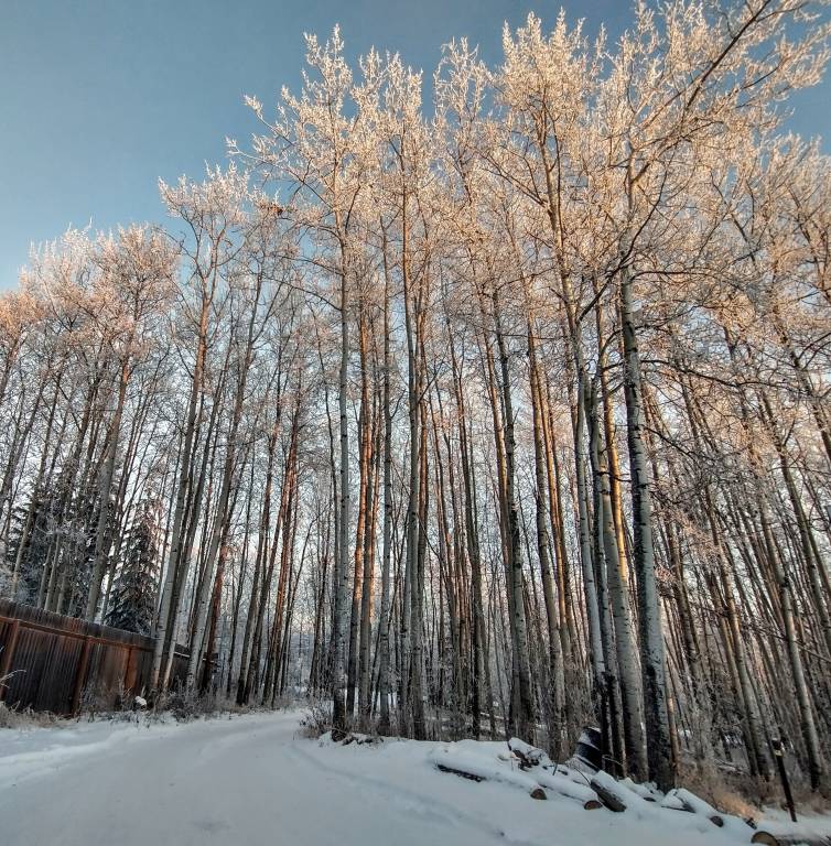 Cabin Fairbanks