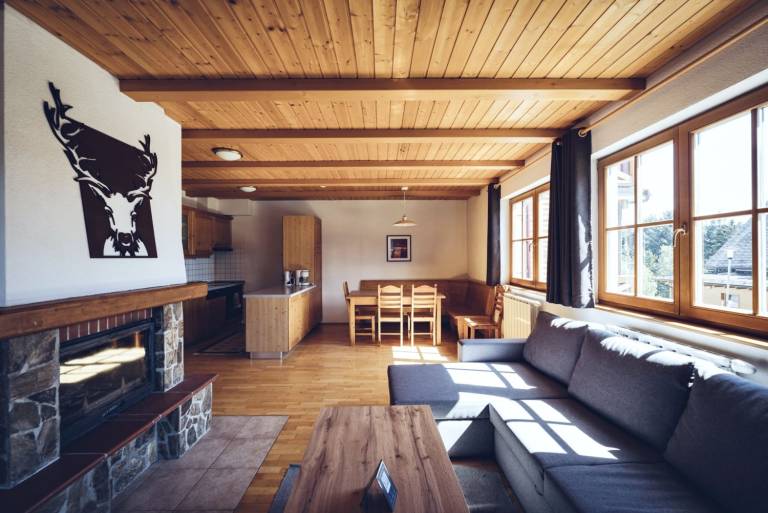 Holiday apartment with pool & garden | Close to the ski | Pets allowed — photo 5