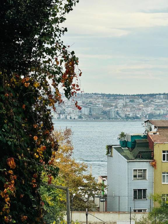 House | Close to Taksim Square | Perfect for remote work in Marmara