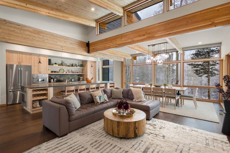 House  Telluride