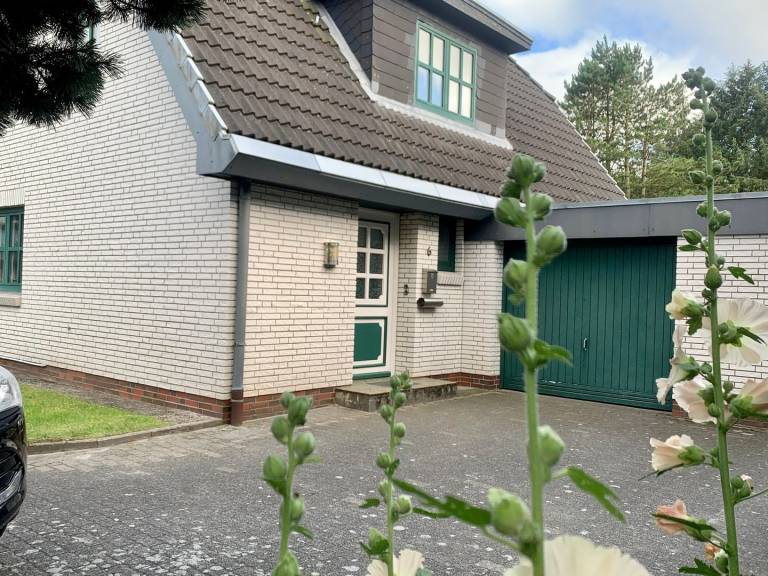 Ferienhaus  Sanddorn — photo 4