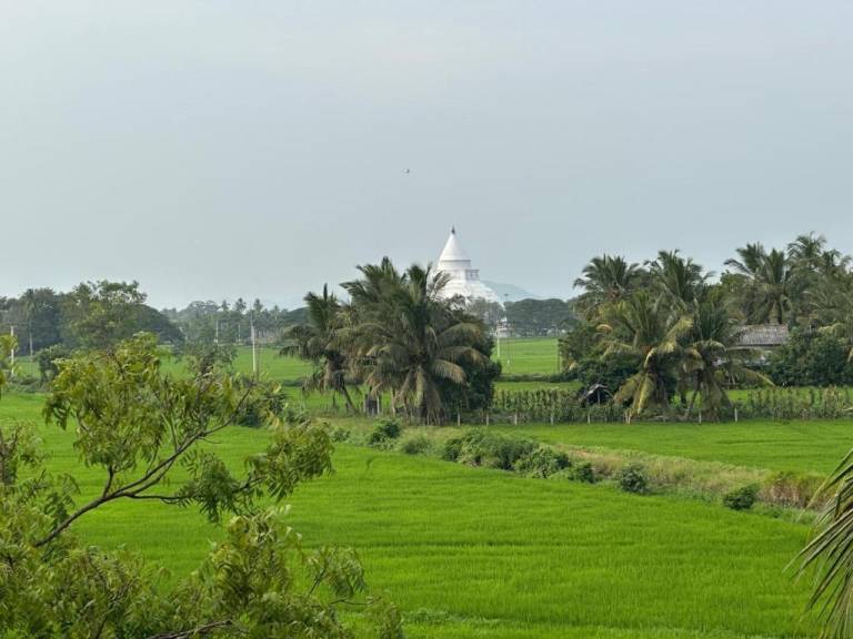 Tranquil Sanctuary Yala