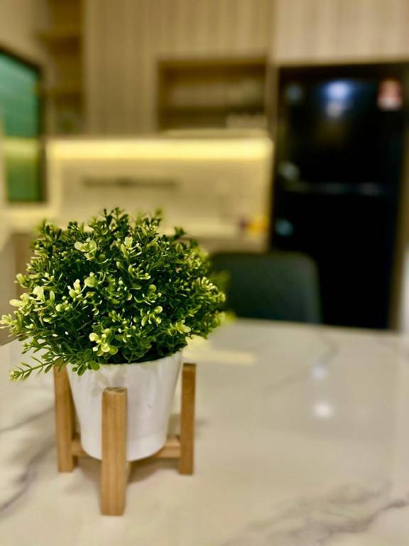 foto24