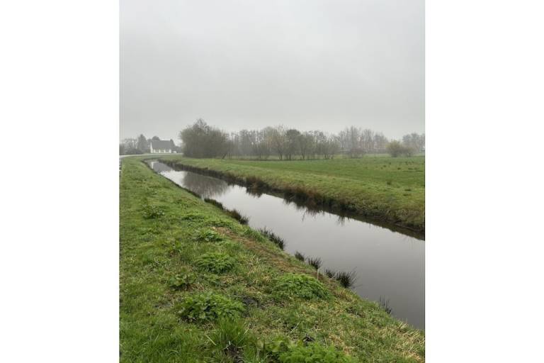 foto12
