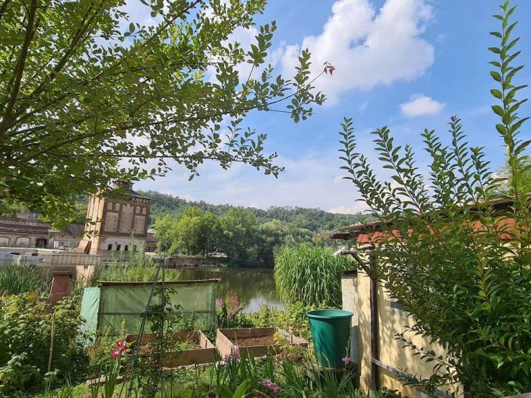 Ferienwohnung Bad Kösen