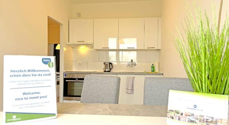 Serviced apartment with 3 rooms for 3 persons in Halle (Saale)