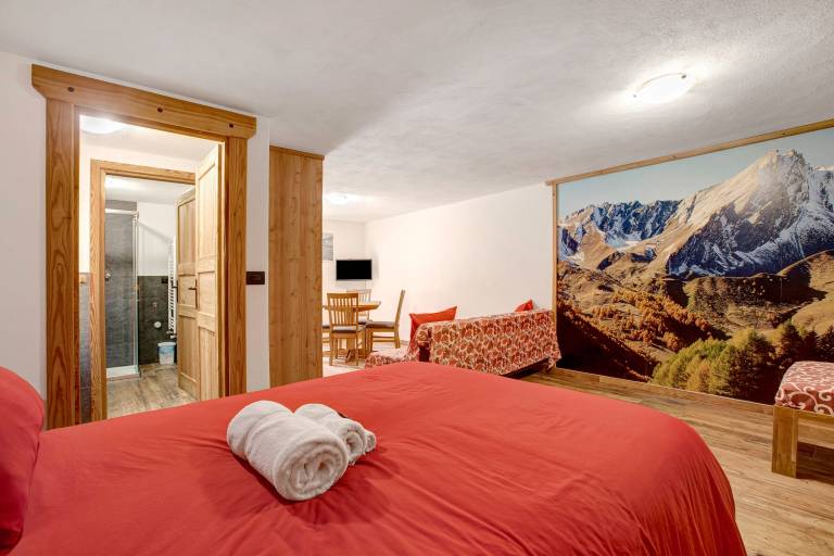 Studio with fast internet & garden | Mountain view | Pet-friendly — photo 4