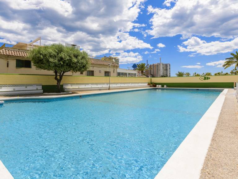 Rental apartment with pool & yard — photo 5