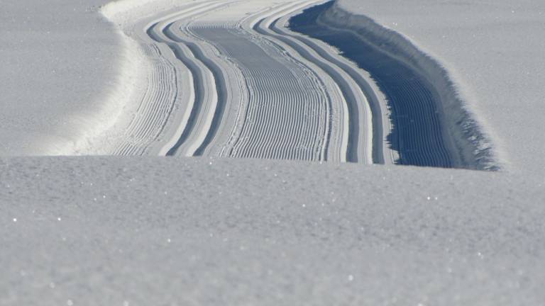 Ferienwohnung mit Hund in Gosau für max. 3 Personen Ferienwohnung mit Hund in Gosau für max. 3 Personen