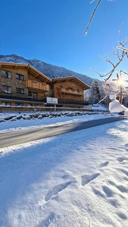 Ferienwohnung Flachauwinkl