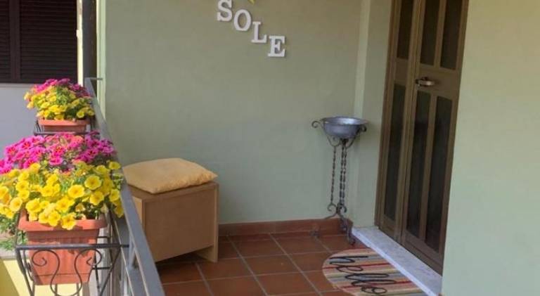 Sole