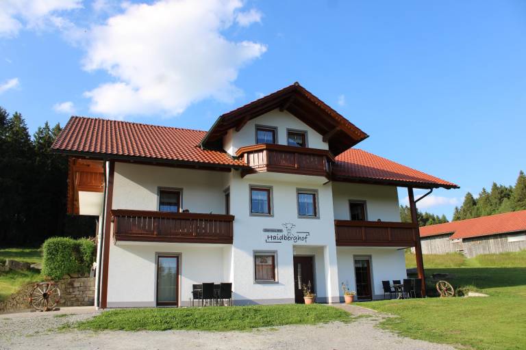 foto17