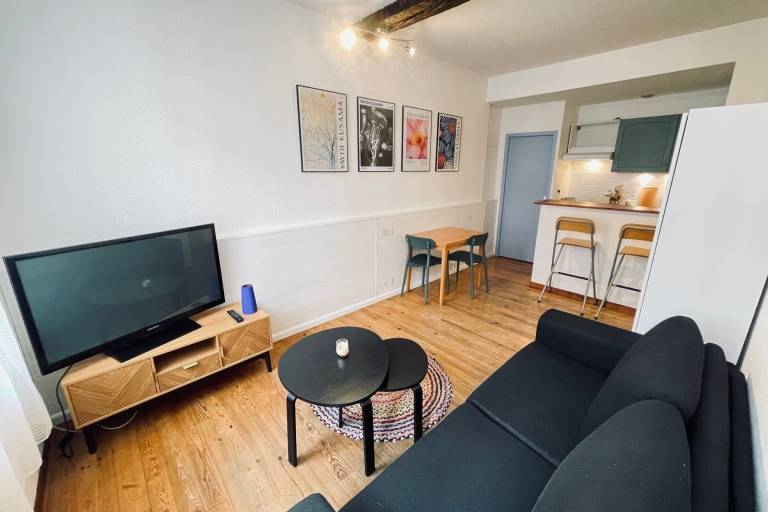 Appartement Blagnac