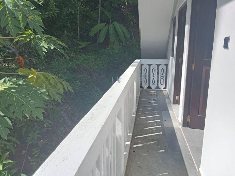 House with patio & yard — photo 4