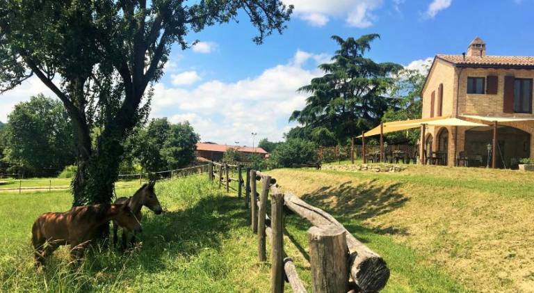 Charming farm with garden | Pet-friendly in Fidenza