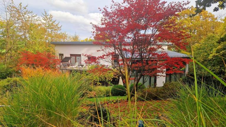 Ferienhaus Frankenberg (Eder)