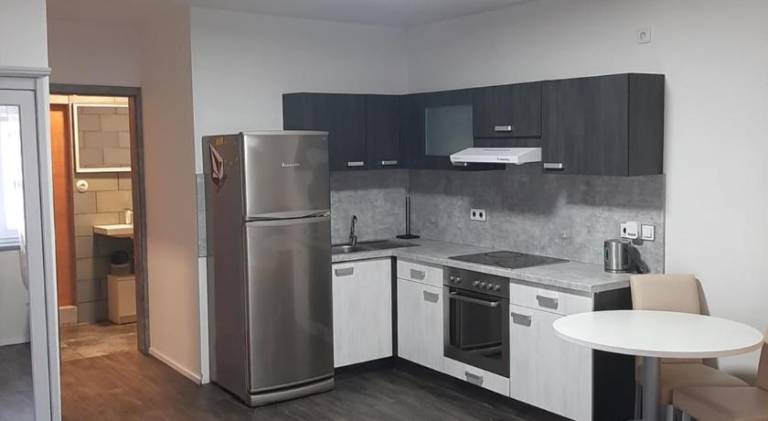 Rental apartment with 1 room for 3 persons in Plzen