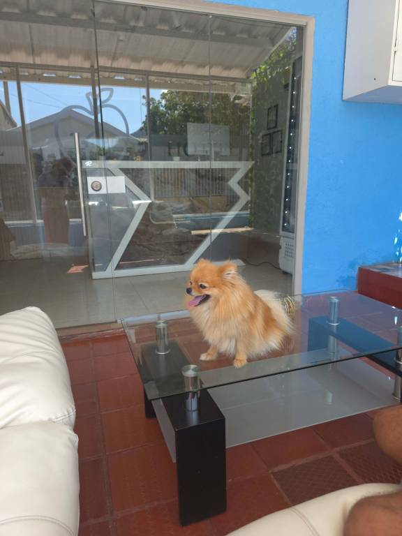 Hotel Casa Manzanares — photo 5